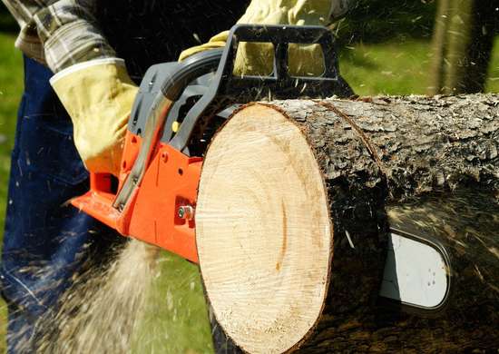 chainsaw winch